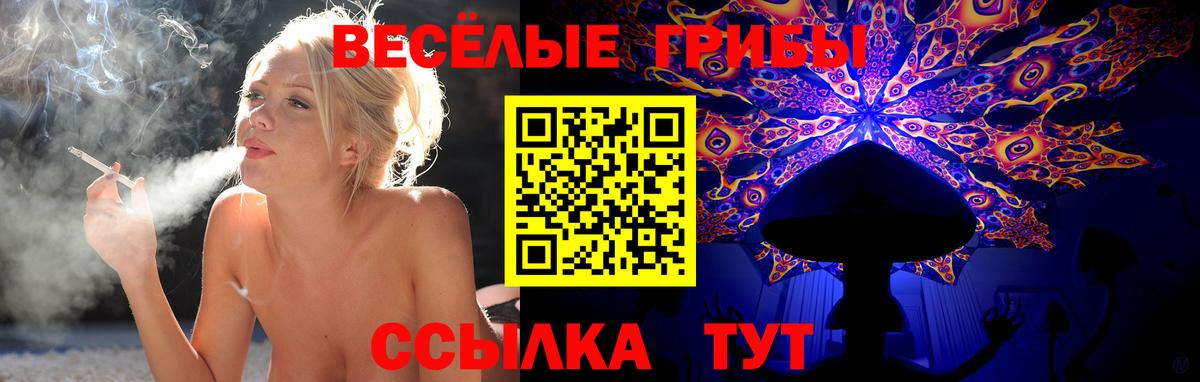 Псилоцибиновые грибы Cubensis Моздок